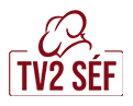 Tv2 Sef